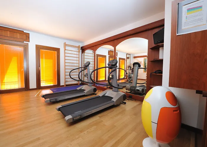 Roxy Plaza 4* Soave (Verona)