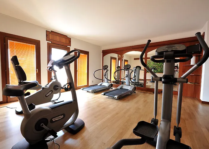 Roxy Plaza 4* Soave (Verona)